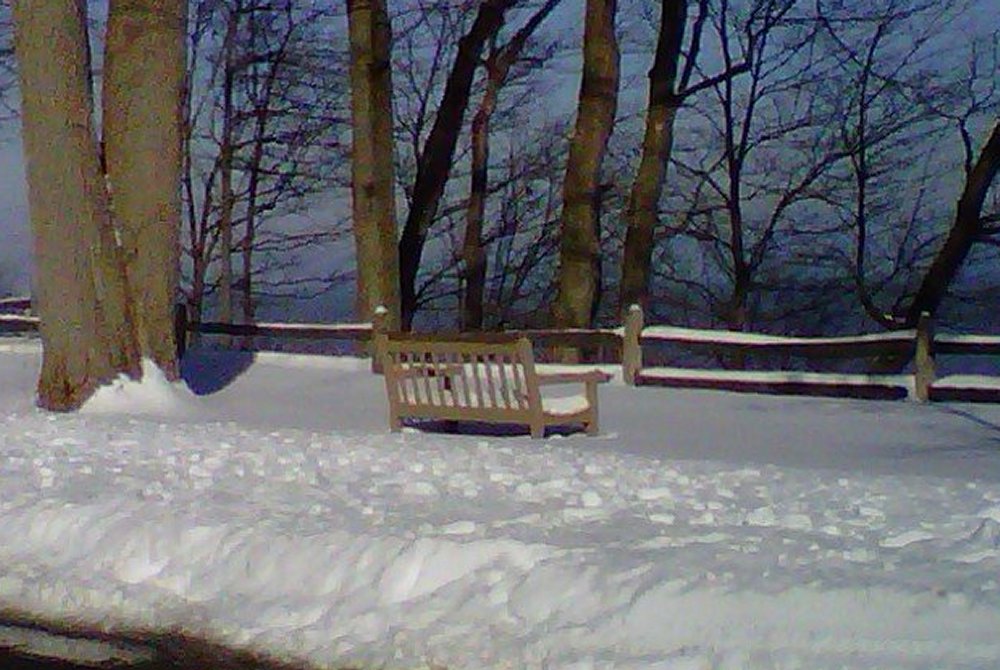 Happy Boxing Day! Sunrise Park, Lake Bluff