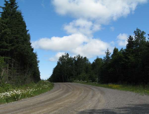Beauty on Another Side Road