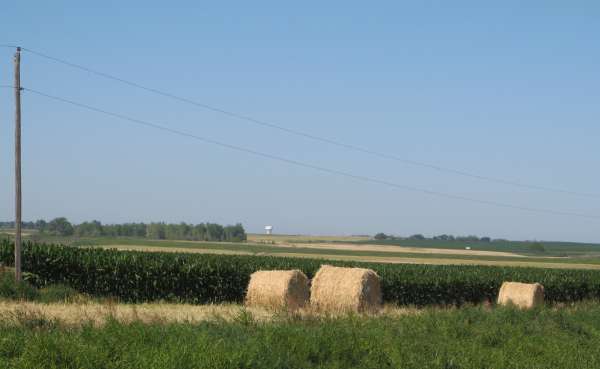 Abundant Hay <br>Harvest