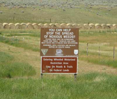 Another Invasive Species Warning