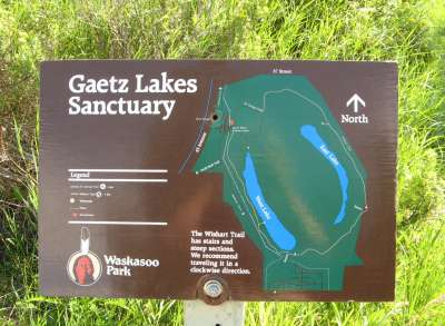 Gaetz Lake Sanctuary, Red Deer, AB