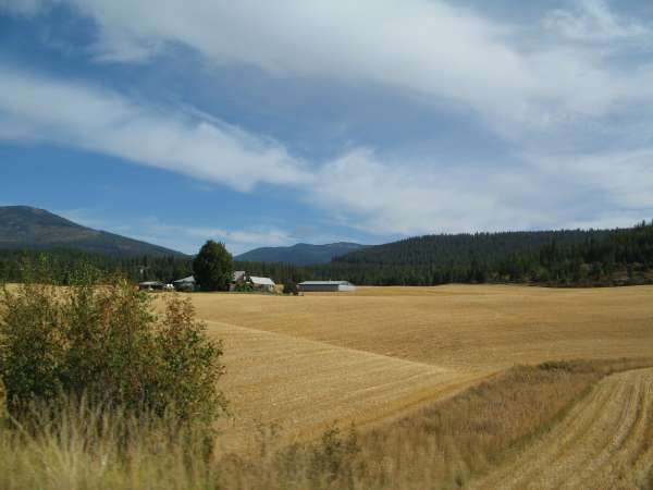 Idaho Wheat Field After Harvest