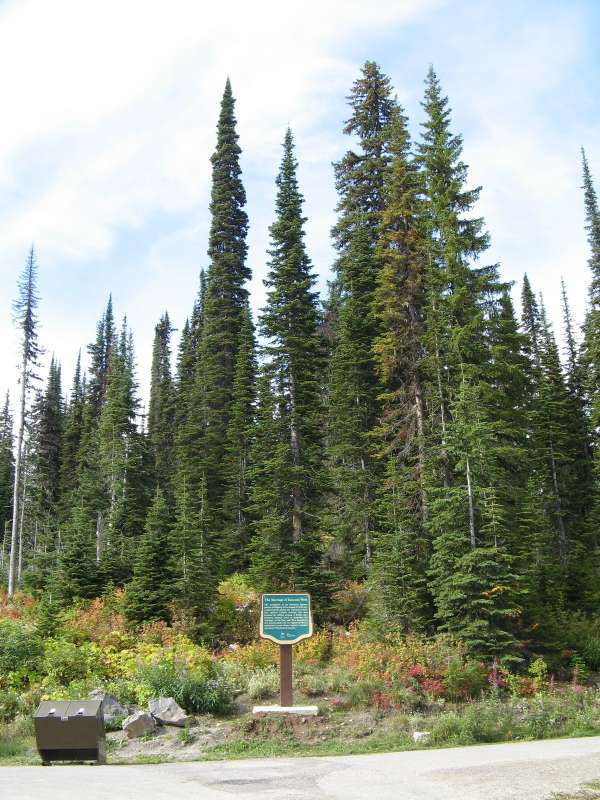 Kootenay Highway Saddle