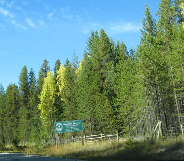 Okanagan Shuswap National Forest in BC