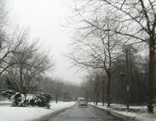 Surprise Snow in Vancouver