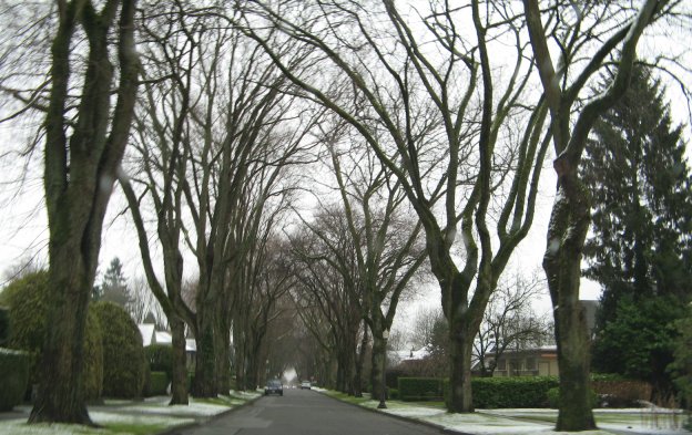 Residential Neighborhood, Vancouver