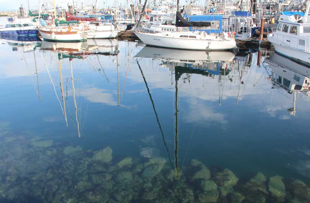 Reflection in Harbour