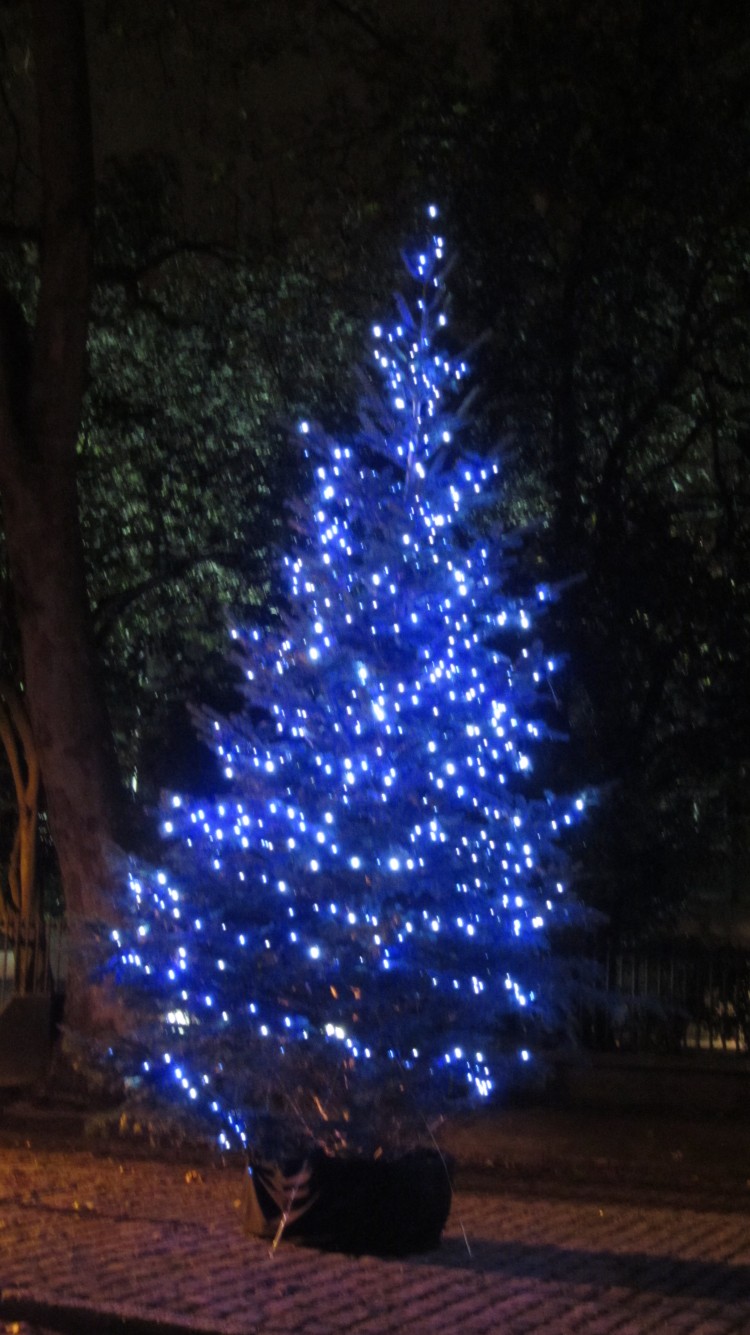 Christmas Tree on Kensington Palace Gardens at Bayswater Road